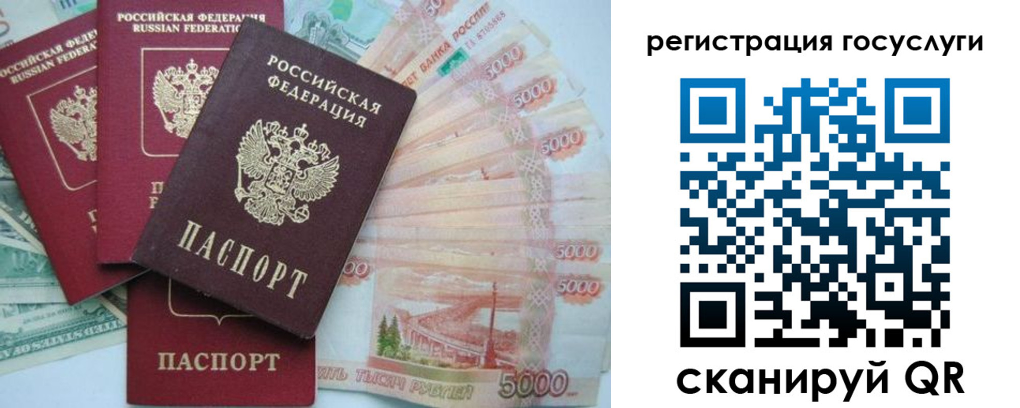 прописка иностранных граждан в Калужской области
